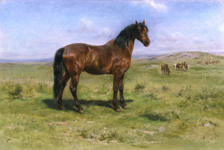 Wild Horses, 1889 by Rosa Bonheur (French, 1822 - 1899)