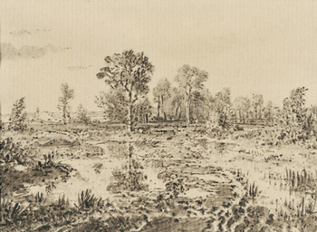 Mare parmi les bruyères, c. 1862 by Pierre Étienne Théodore Rousseau (French, 1812 - 1867)